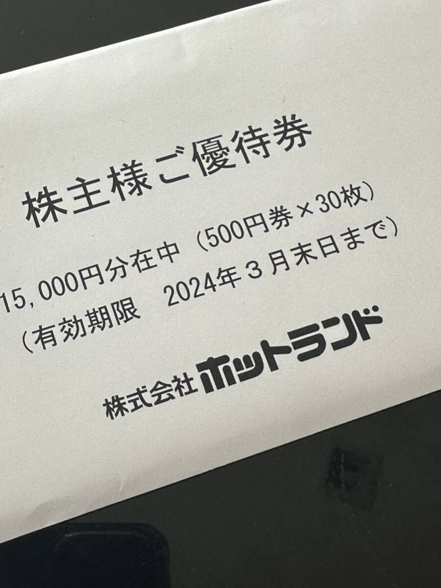 ホットランド 株主優待 15000円分_画像1