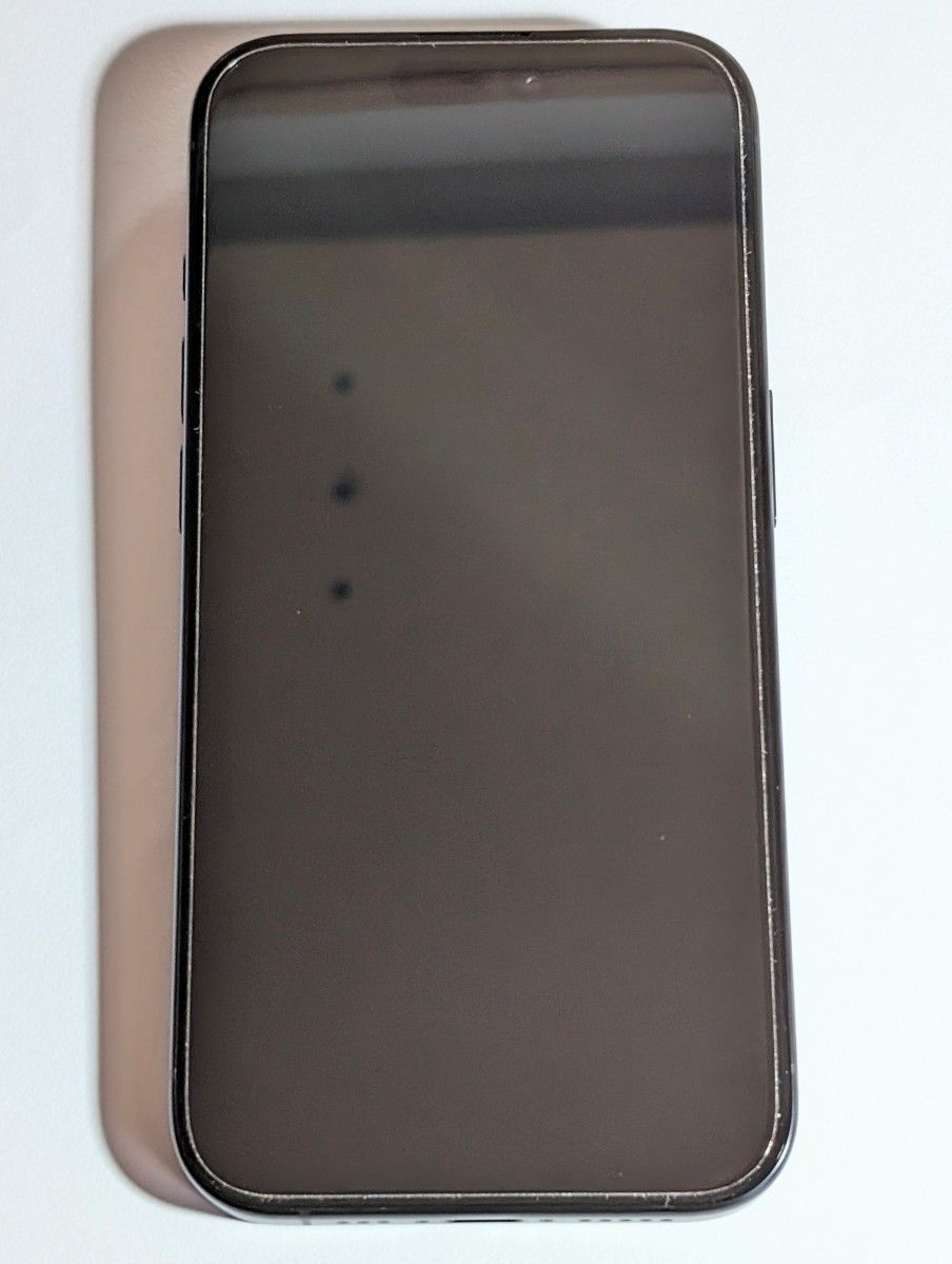 Apple iPhone 15 Pro 256GB ブルーチタニウム SIMフリー 美品 Apple iPhone 15 Pro 256GB ブルーチタニウム SIMフリー 美品