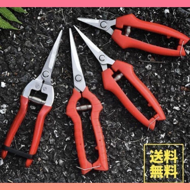  pruning . natural flower scissors flower gardening fruit tree bonsai kitchen garden garden branch cut 