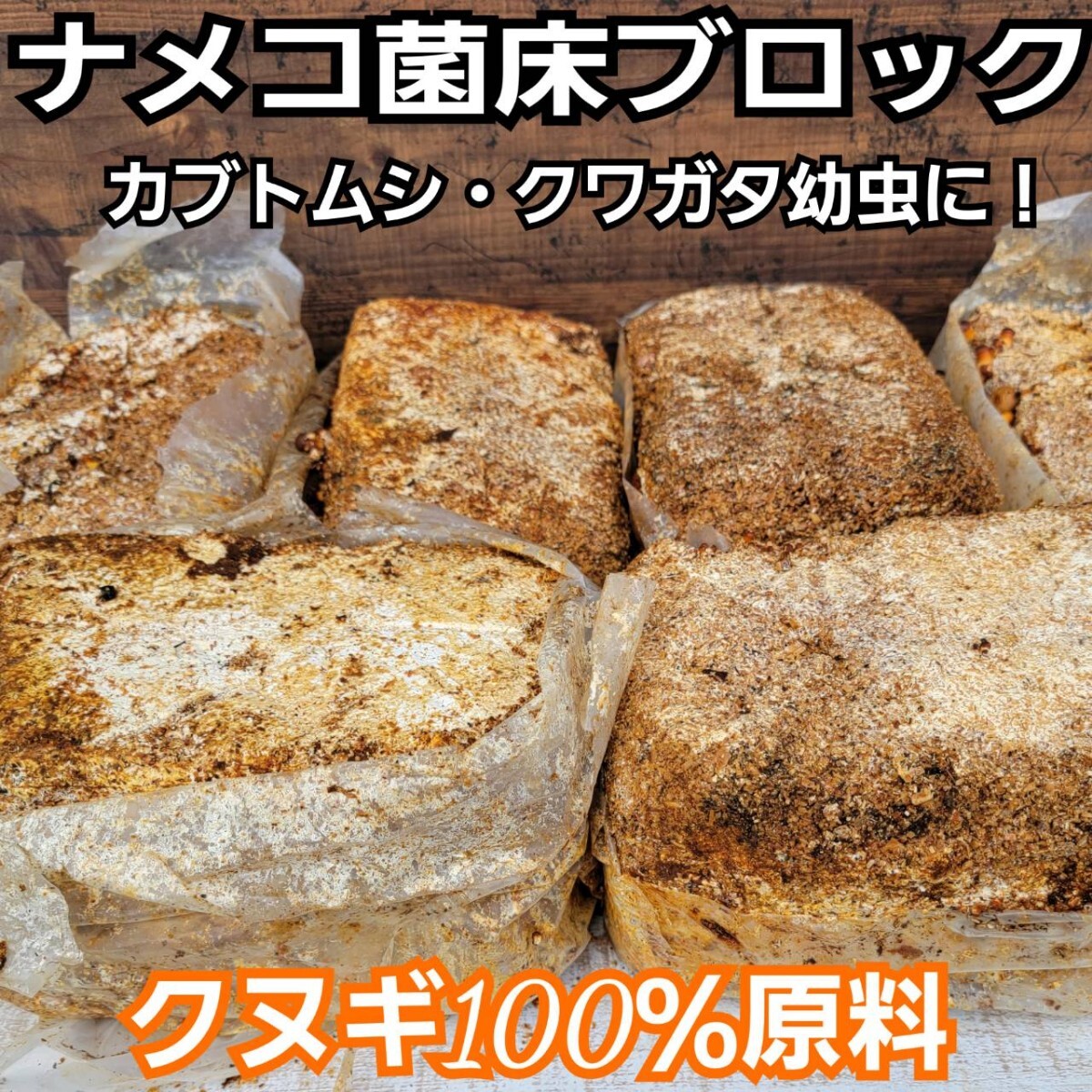 ナメコ菌床ブロック　クヌギ100％原料　カブトムシ幼虫の栄養補給に抜群！　ブロックのままマットに埋めるだけで幼虫がモリモリ食べます！_画像3