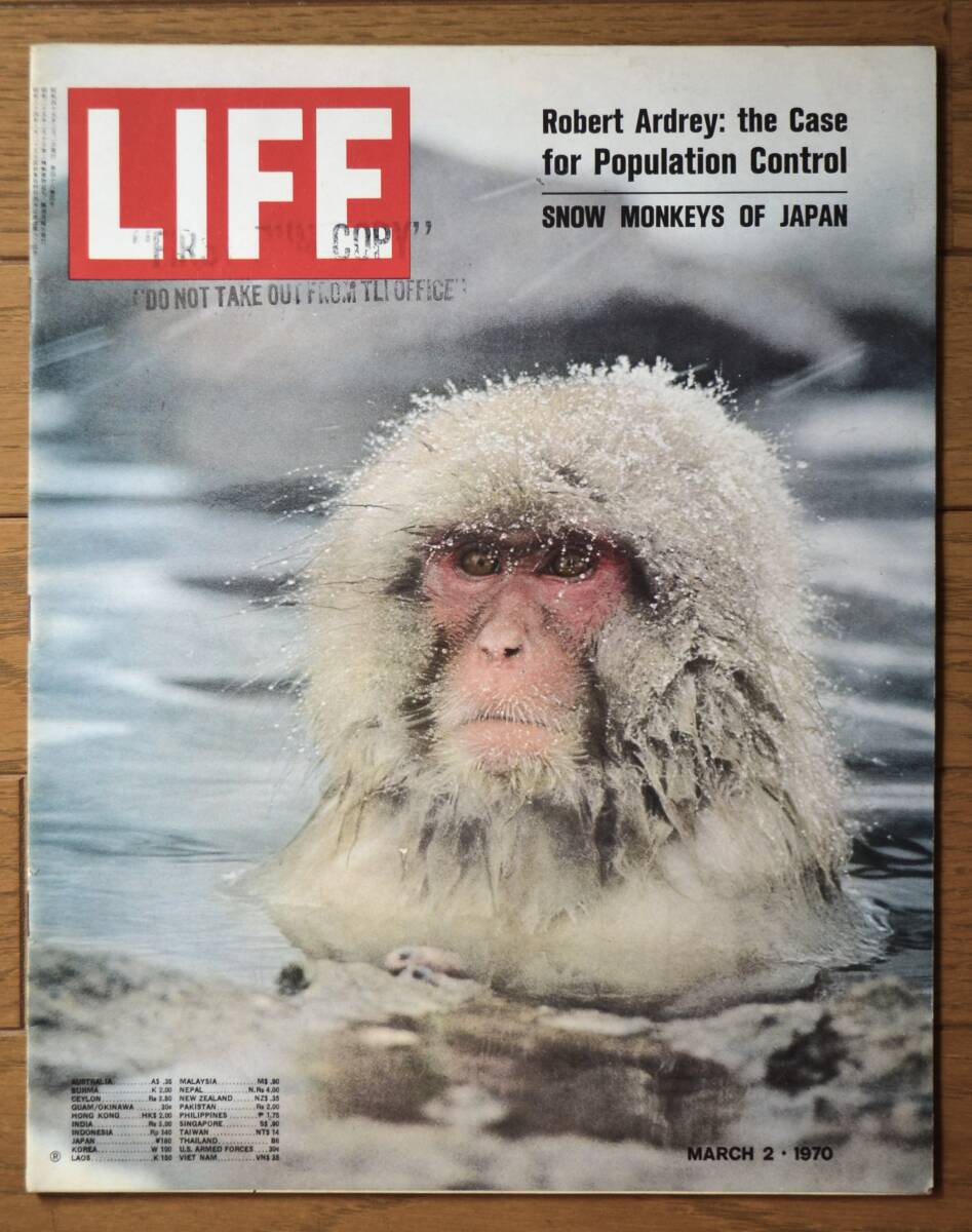 稀少！LIFE誌/March 2,1970/日本猿/北限のサルと温泉/Snow Monkeys/ライフ誌/USA/アメリカ雑誌/の画像1