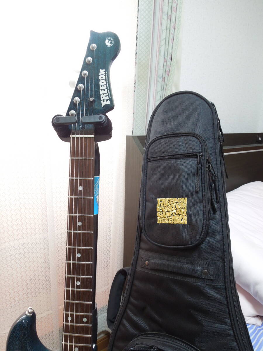 Freedom ST Pepper custom　ブルートランス_画像3