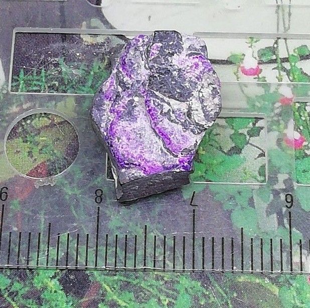 スギライト449鉱物標本　原石　天然石　パワーストーン