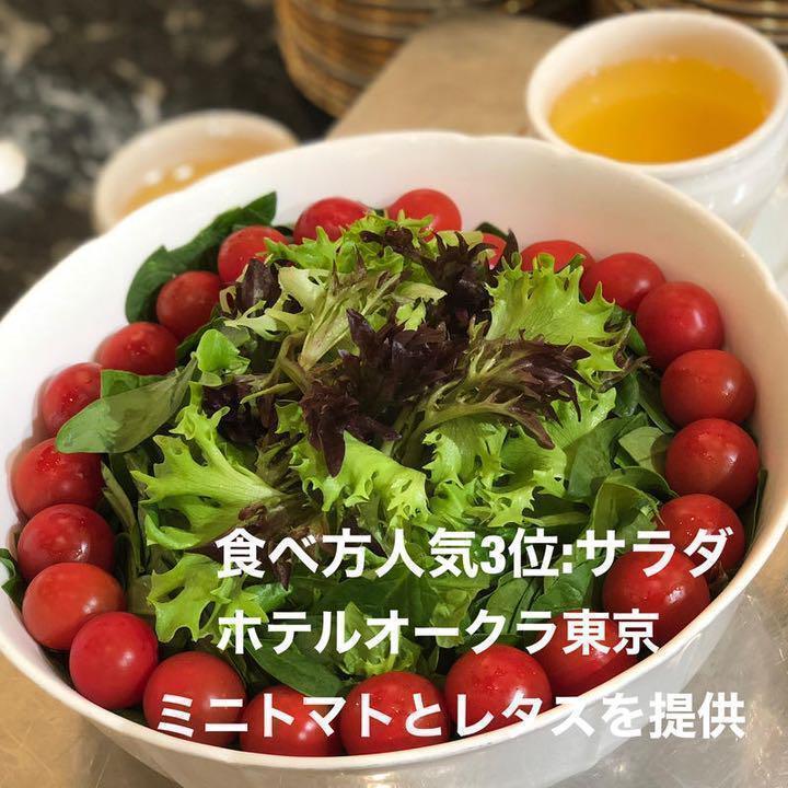 八ヶ岳産 行列ありがとまと 約1.2kg 味濃いめ！農薬は薄め！お子様も大好き！_画像8