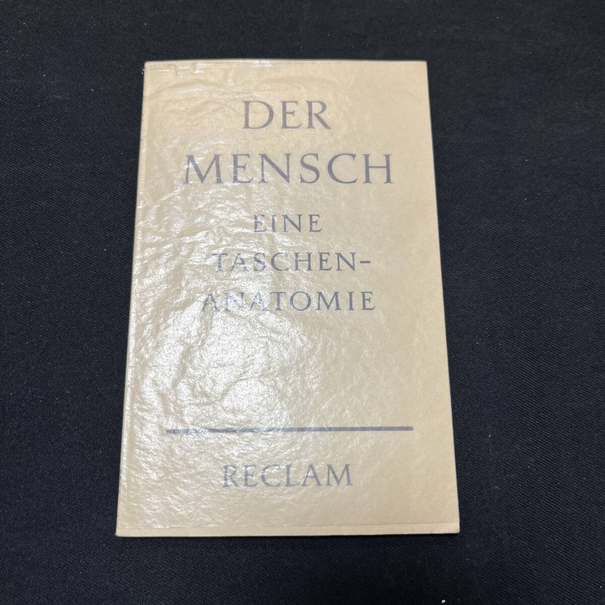 【中古 送料込】洋書『医学 DER MENSCH - EINE TASCHEN ANATOMIE』RECLAM 1967年発行◆N3-135_画像1