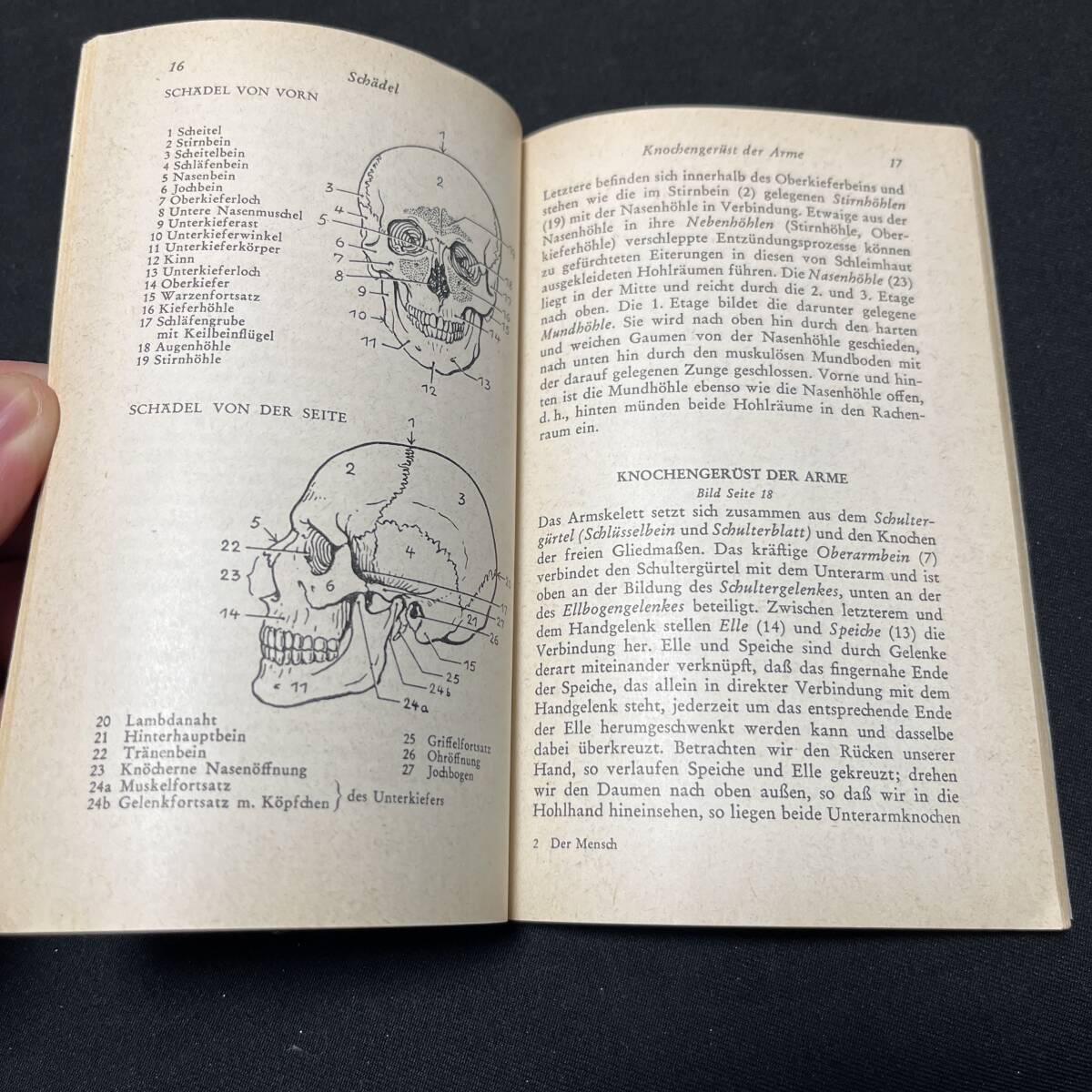 【中古 送料込】洋書『医学 DER MENSCH - EINE TASCHEN ANATOMIE』RECLAM 1967年発行◆N3-135_画像7
