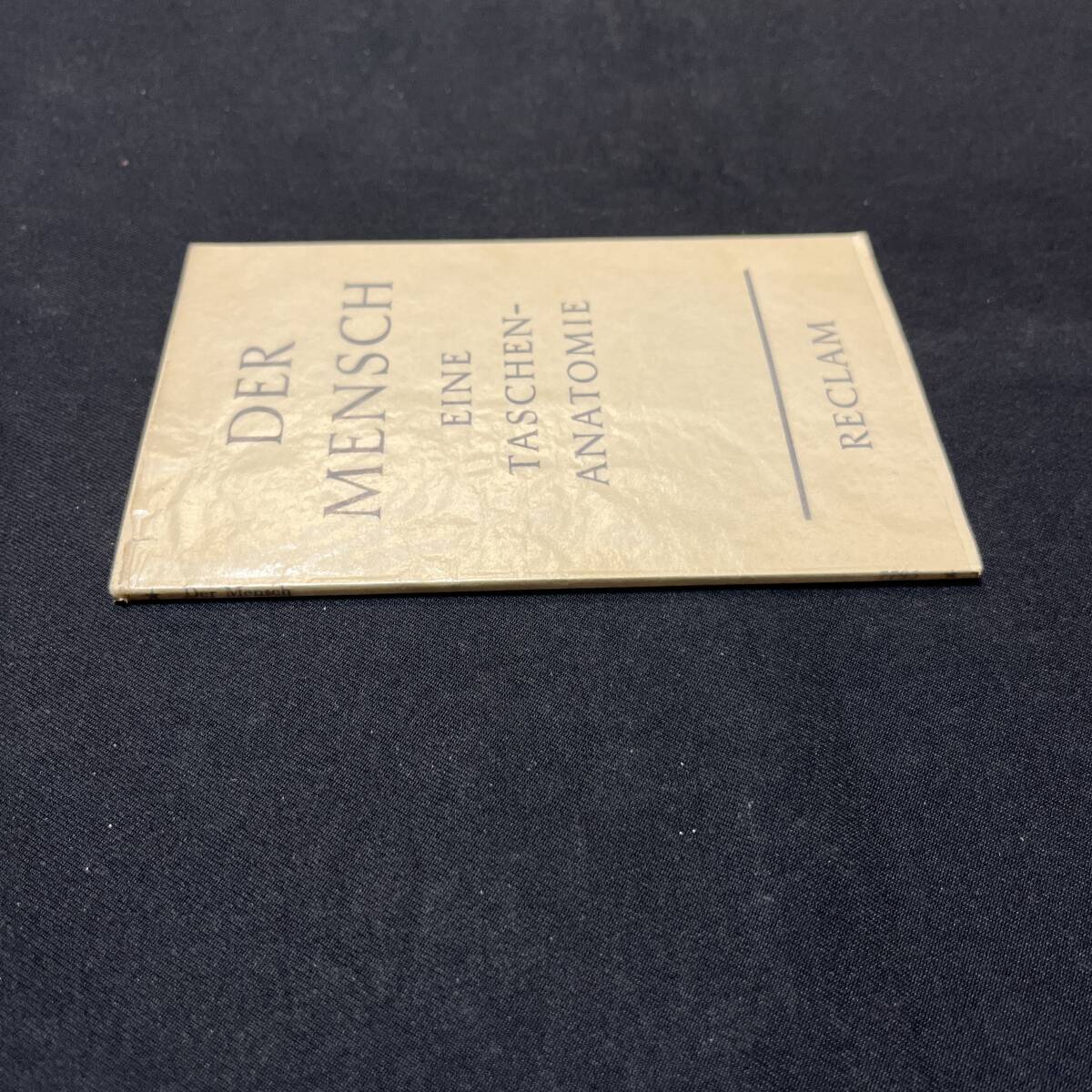 【中古 送料込】洋書『医学 DER MENSCH - EINE TASCHEN ANATOMIE』RECLAM 1967年発行◆N3-135_画像3