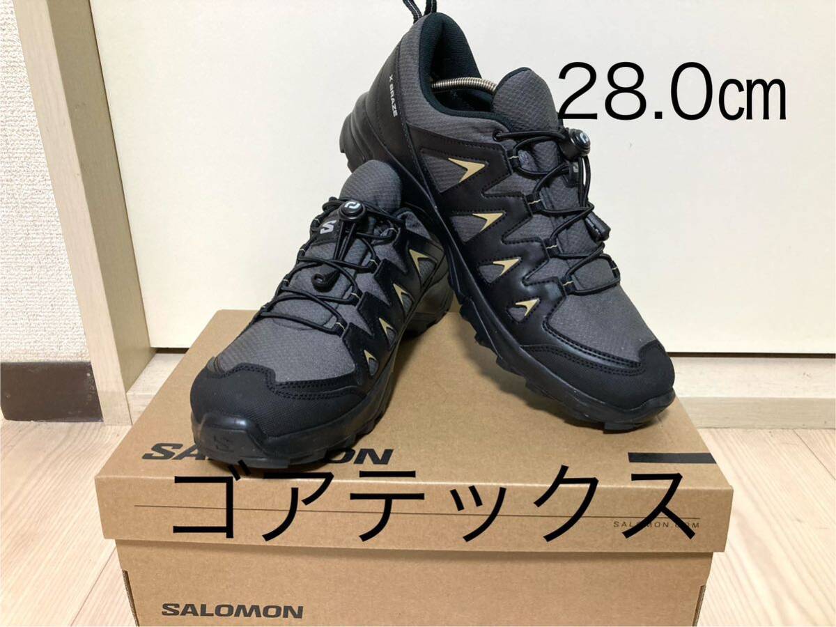 サロモン　SALOMON ハイキング トレッキングシューズ X BRAZE GORE-TEX メンズ　28.0㎝　美品