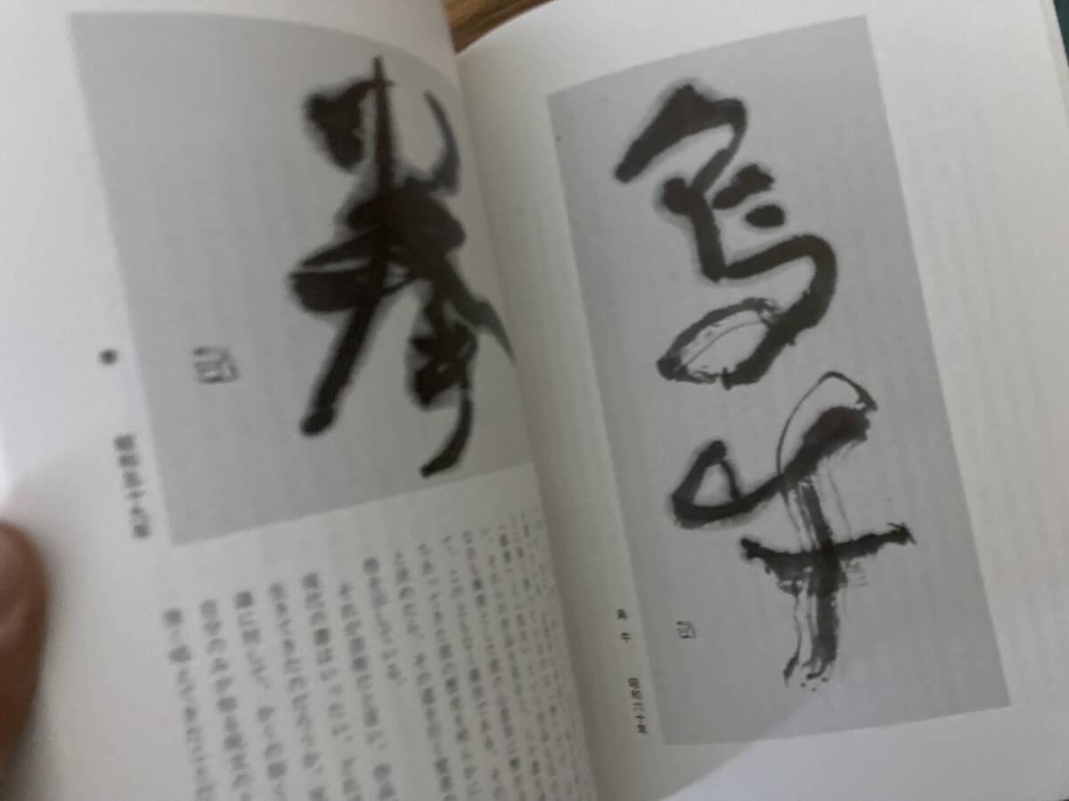 現代書の冒険者たち　鈴木史楼評論集／近現代の日本書壇　書道　青山杉雨/SB1タ_画像5