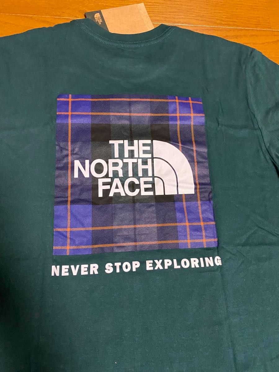 本場アメリカにて購入 ノースフェイス半袖Tシャツ アメリカ限定　THE NORTH FACE ボックスロゴ