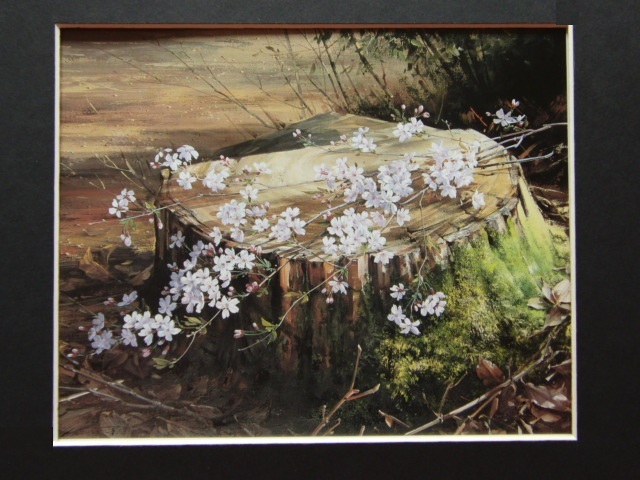  rice field middle Kiyoshi,[ mountain Sakura ], rare frame for book of paintings in print .., beautiful goods, new goods frame attaching, interior, spring, Sakura 