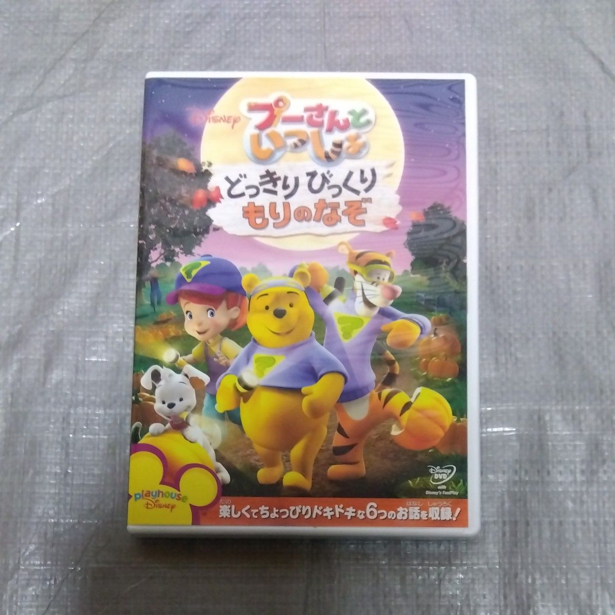 プーさんといっしょ どっきりびっくり もりのなぞ  ディズニーDVD