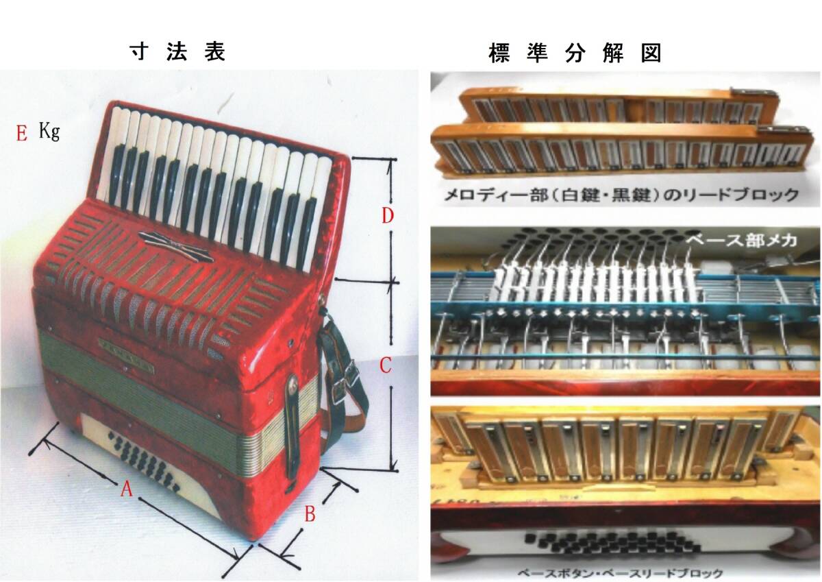 分解.整備完了 ヤマハ S-25B (25キー) アコーディオン(z）の画像9