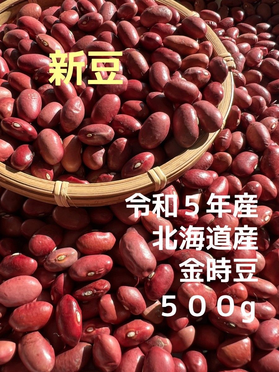 新豆  令和5年産  北海道産  金時豆  500g