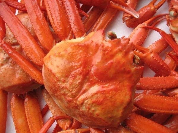 蟹食べ放題！！ボイル済み「紅ずわい蟹B10kg冷凍」蟹の本場、境港産_画像4