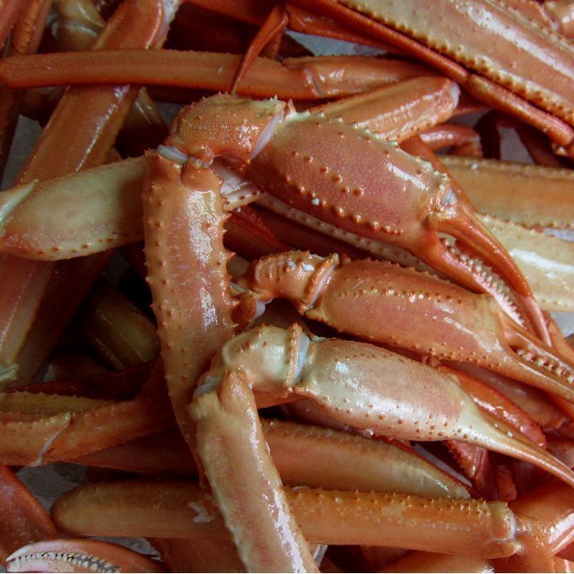 【即納】紅ずわい「yボイル済み足3kg」（殻付き足）蟹の本場、境港産_画像2