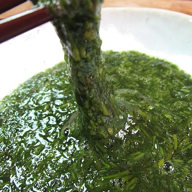  beautiful taste!![ taste attaching a duck k40g×40 piece entering ]1 box, soy sauce taste 1.6kg... mountain .... third. seaweeds 