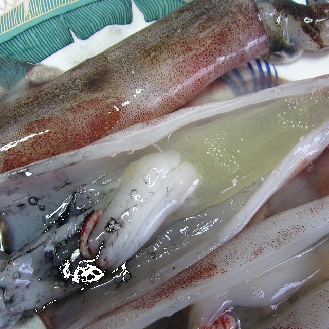 子持ち「ヤリイカ・メス52尾で4kg」美しい釣り物、活冷凍・お刺身用_画像4