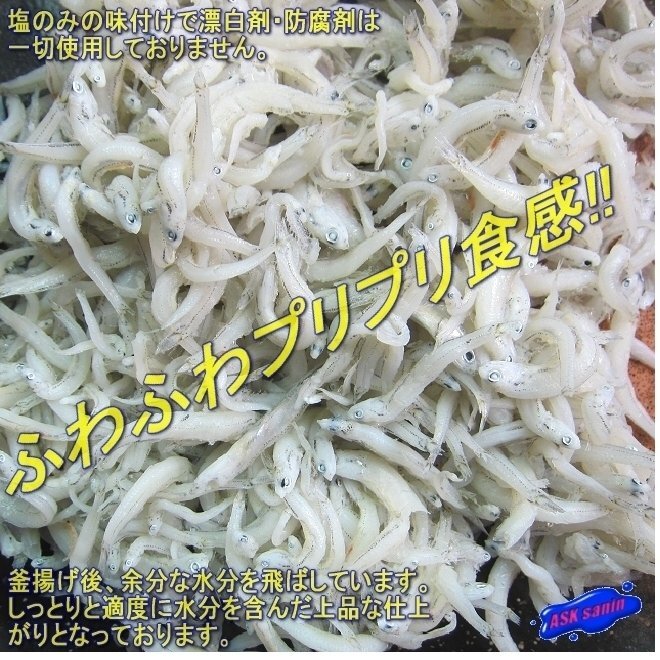 ふわふわプリプリ「釜揚げしらす1kg」中サイズ、地物『魚王国』山陰境港_画像1