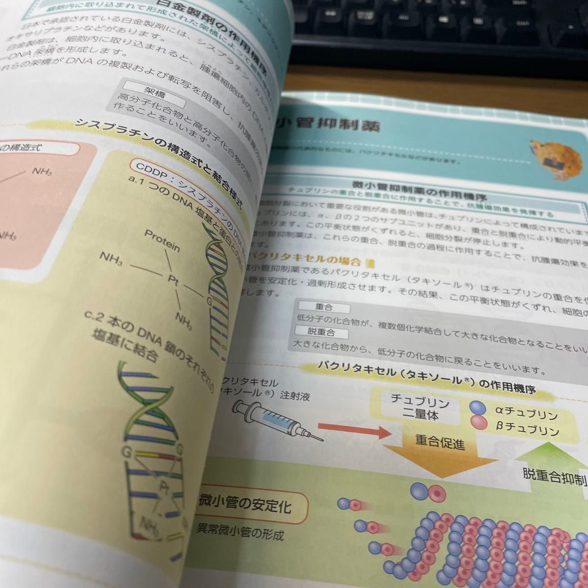 ナースのためのやさしくわかるがん化学療法のケア （ナースのための） （第２版） 坪井正博／監修　渡邉眞理／編著　坪井香／編著