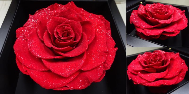 **(.-C-116) AMOROSAamo low saPHOENIX diamond rose breather bdo flower rose used **