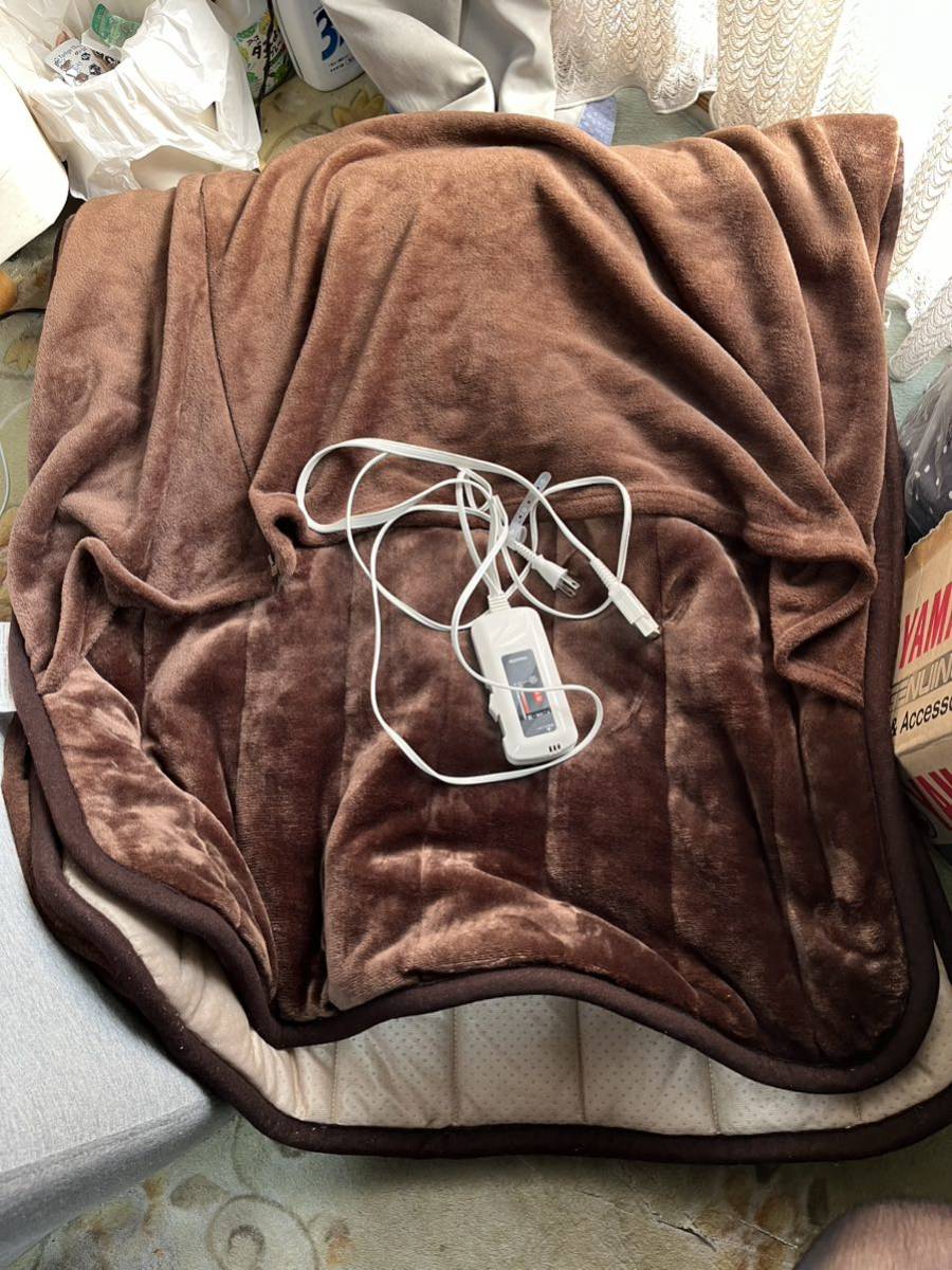 * electric * sleeping bag type *yamazen*... anywhere carpet *YWC-180PK* prompt decision free shipping *
