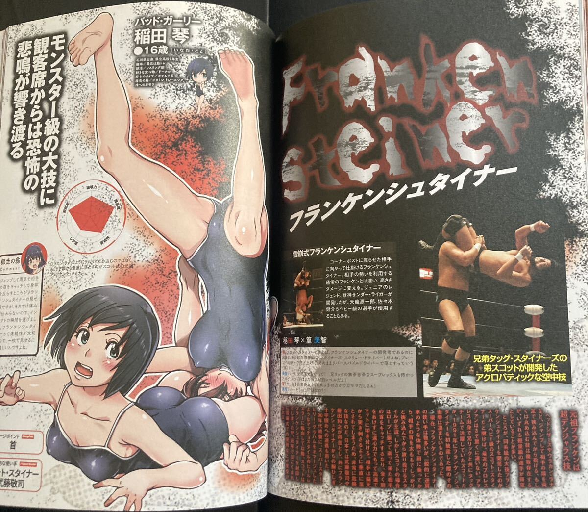 『JKプロレスイラストレーションズ』▼ 師走の翁 技絵 技解説 女子プロレス 清水愛 キャットファイト リングドリーム_画像4