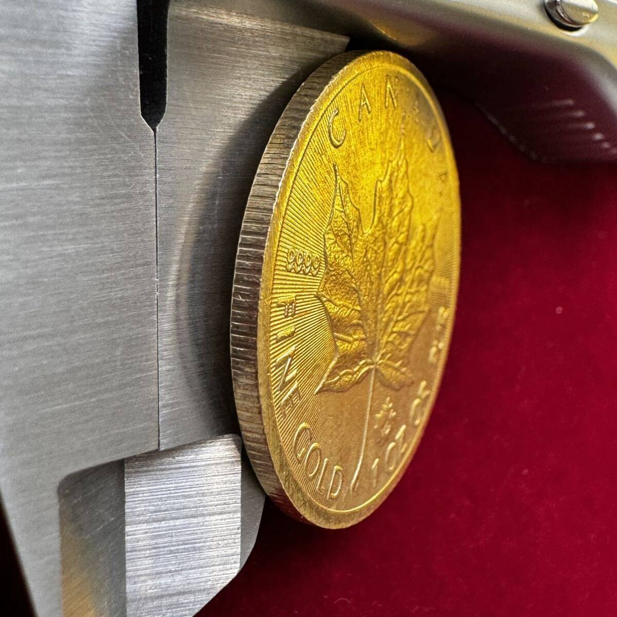 カナダ 硬貨 古銭 英連邦 2021年 エリザベス2世 メープル サトウカエデ 国章 記念幣 コイン 外国古銭 海外硬貨 _画像3