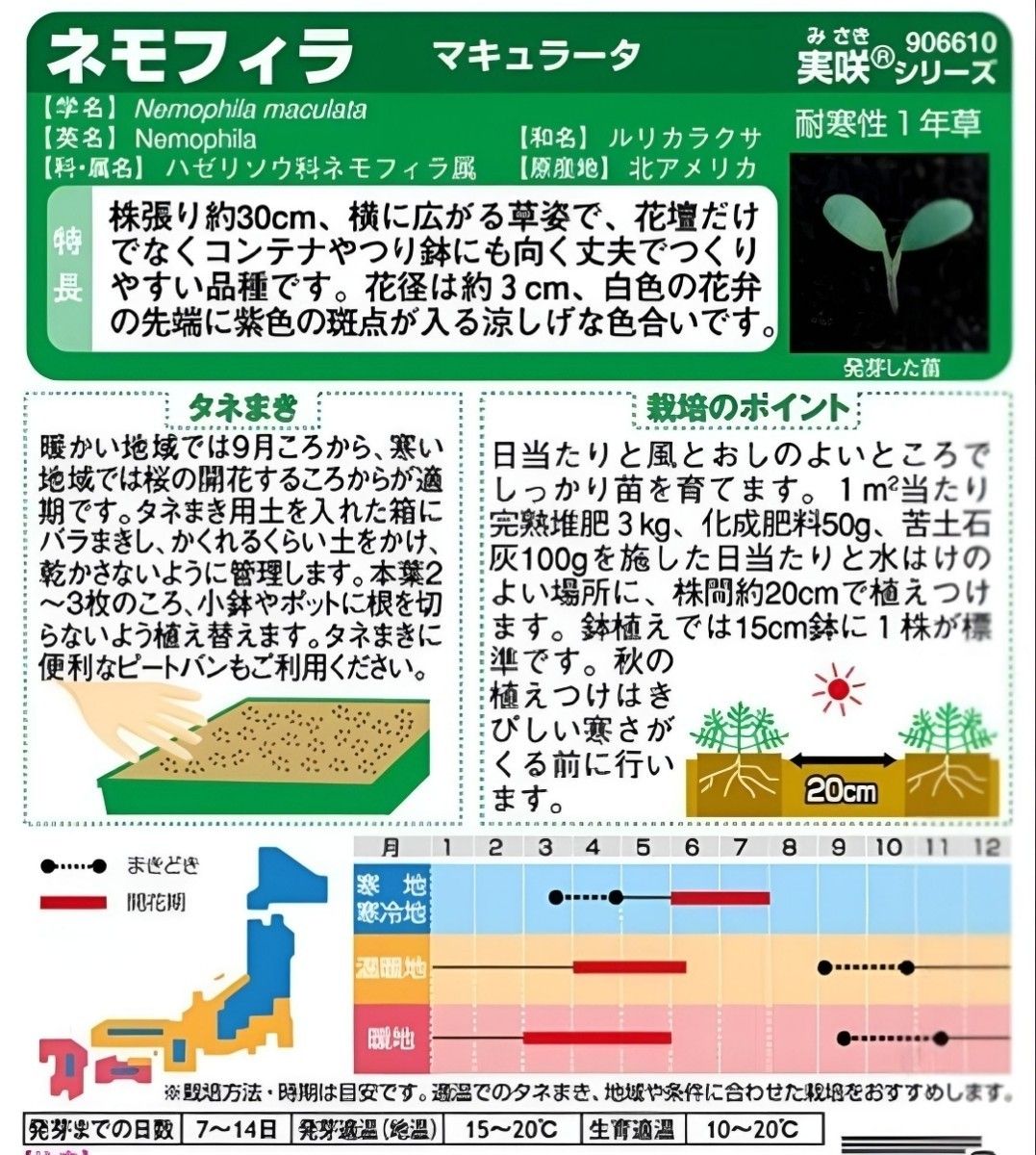 花の種 ネモフィラ・マキュラータ50粒