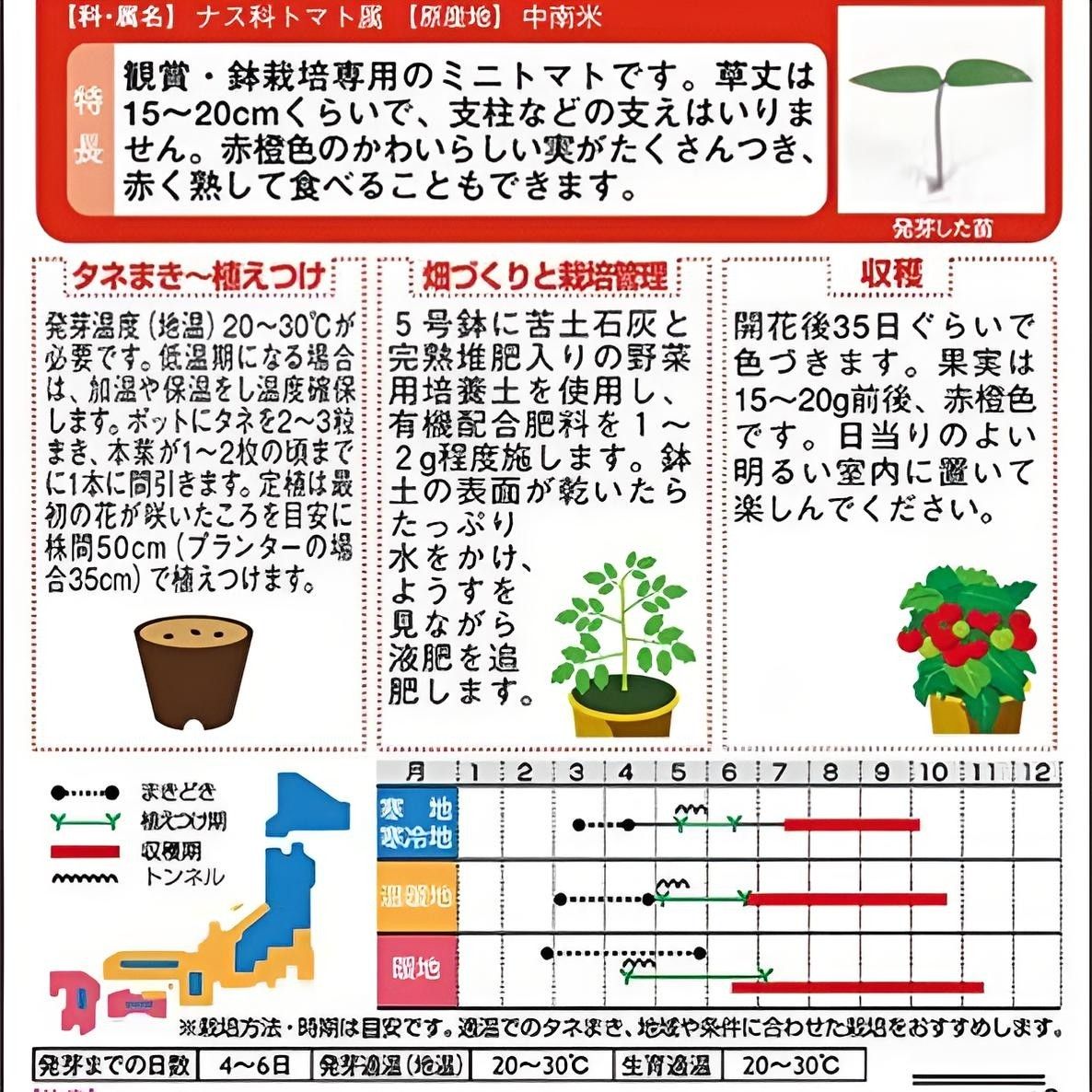 野菜の種 支柱の要らないミニトマト！ レジナ 13粒