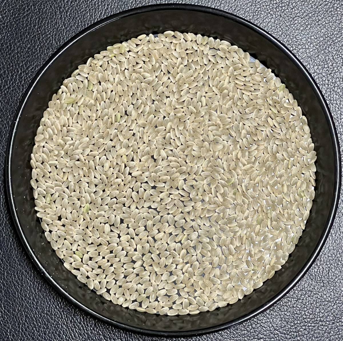 【送料無料 一等検査米】 令和5年度産 京都 丹後 玄米 コシヒカリ 30kgの画像3