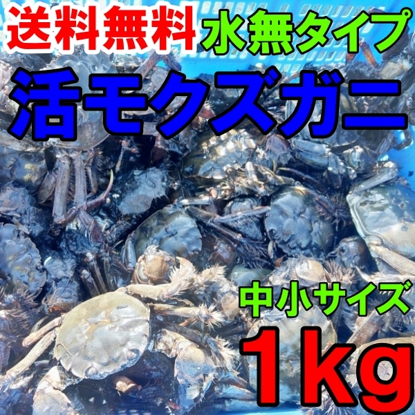 活モクズガニ【海水なしタイプ】 小中サイズ１kg(目安 10-20杯) ツガニ つがに 他に大サイズも出品中 もくずがに_画像1