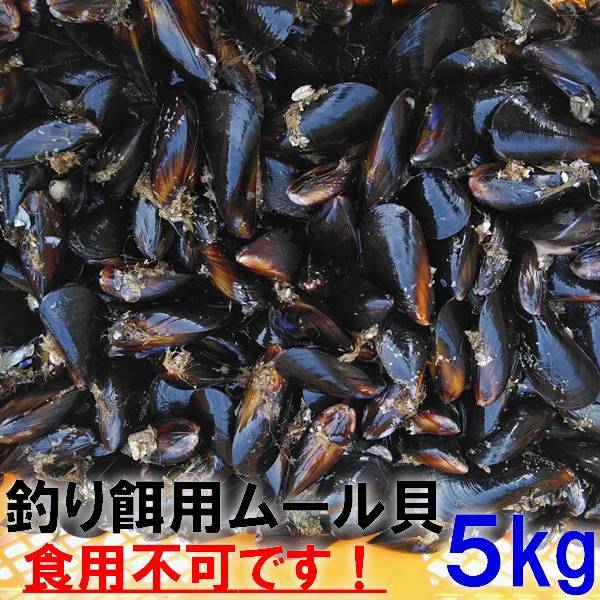 釣り餌に ムール貝５ｋｇ５キロ イガイ カラス貝 ムール貝 釣りエサ クロダイ 黒鯛 チヌ 石鯛 コブダイ カワハギ釣りに 冷凍餌 冷凍エサ★の画像1