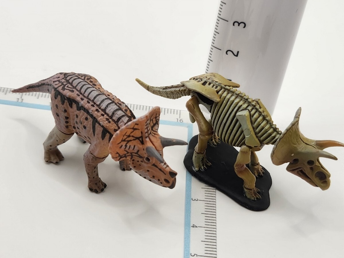 チョコラザウルスDINOTALESフィギュアコレクションPart1トリケラトプス&骨格[24c23検]Chocoチョコエッグ 恐竜 古代生物Qいきもの大図鑑_画像4