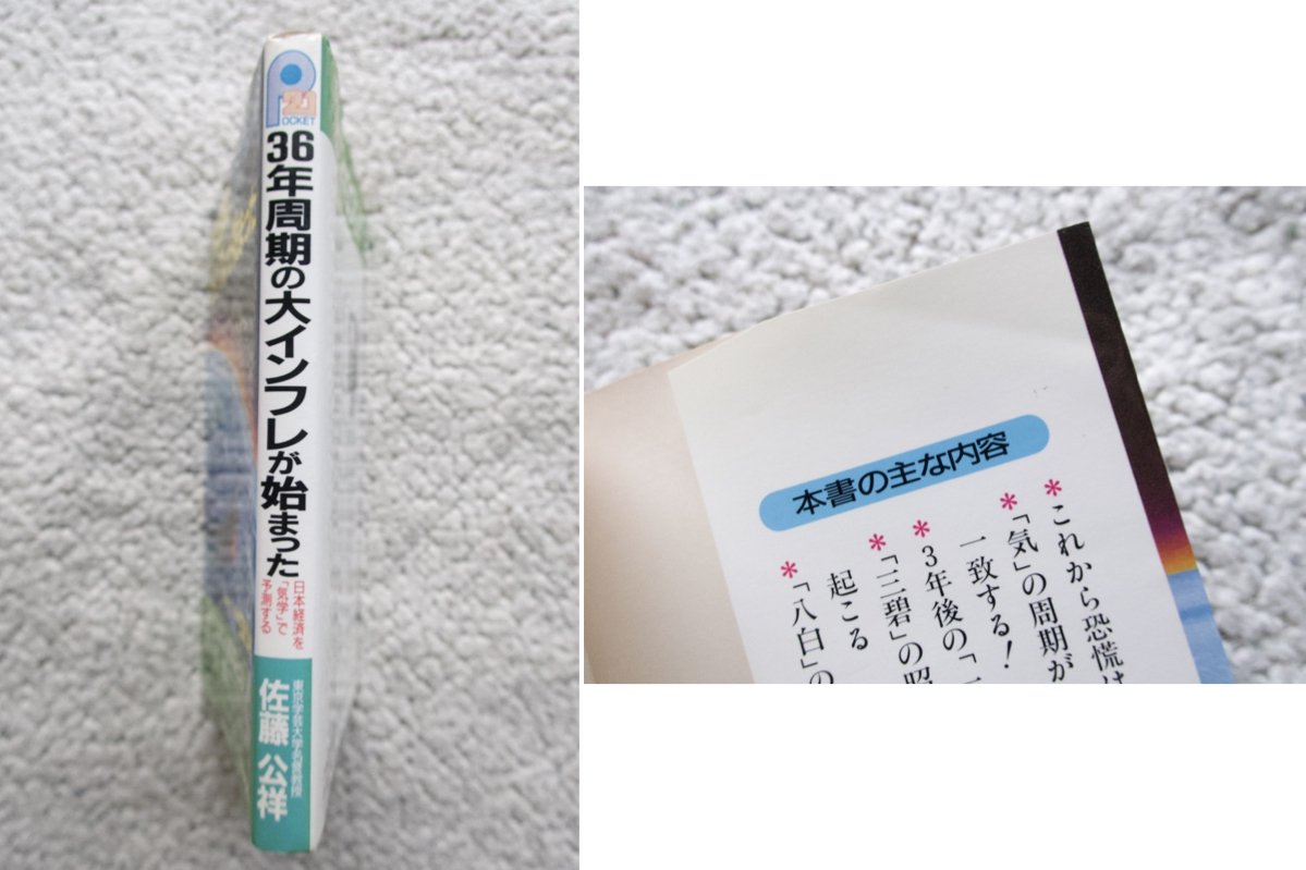 36年周期の大インフレが始まった 日本経済を気学で予測する (主婦と生活社) 佐藤公祥☆_画像2