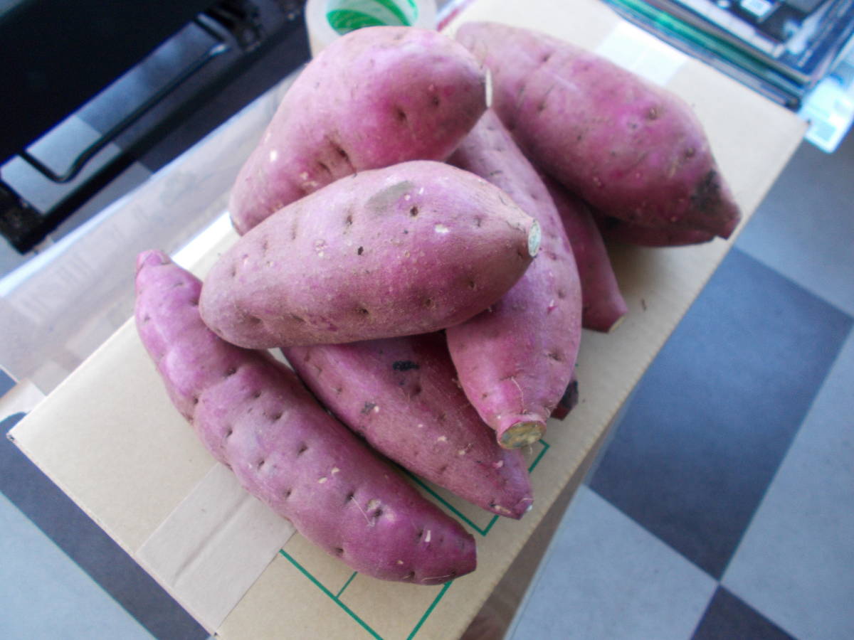  agriculture house direct delivery A class goods preeminence goods .. sweet potato . is ..10 kilo free shipping from .... roasting corm Kumamoto prefecture large Tsu block 