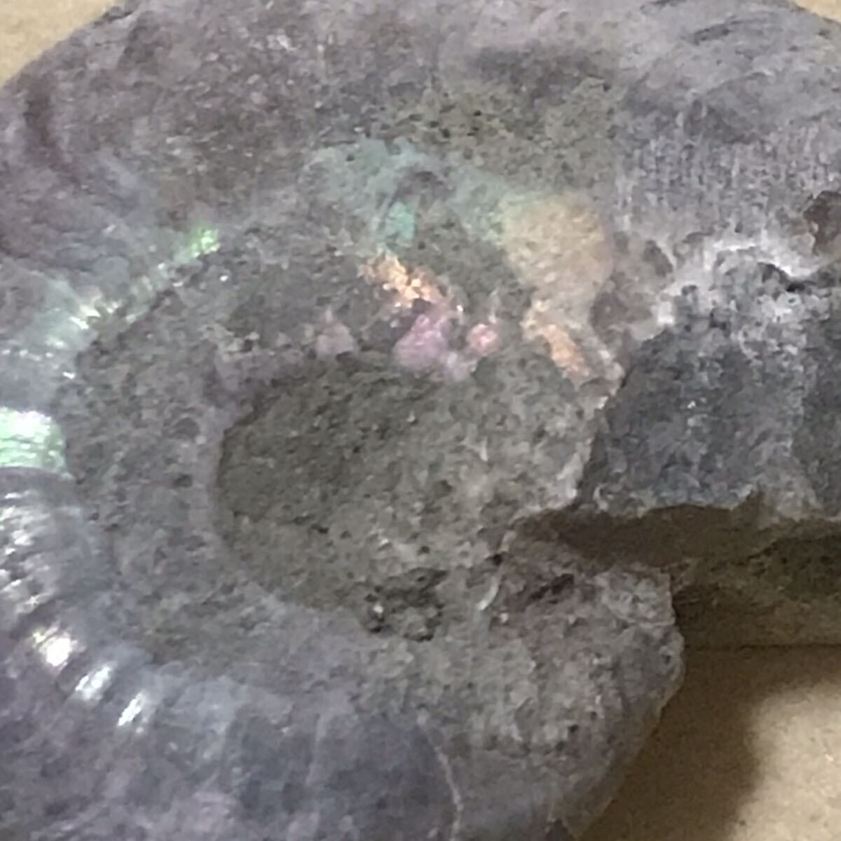 化石 マダガスカル産 アンモナイト 天然石 クリオニセラス 虹色の発色 標本 _画像4