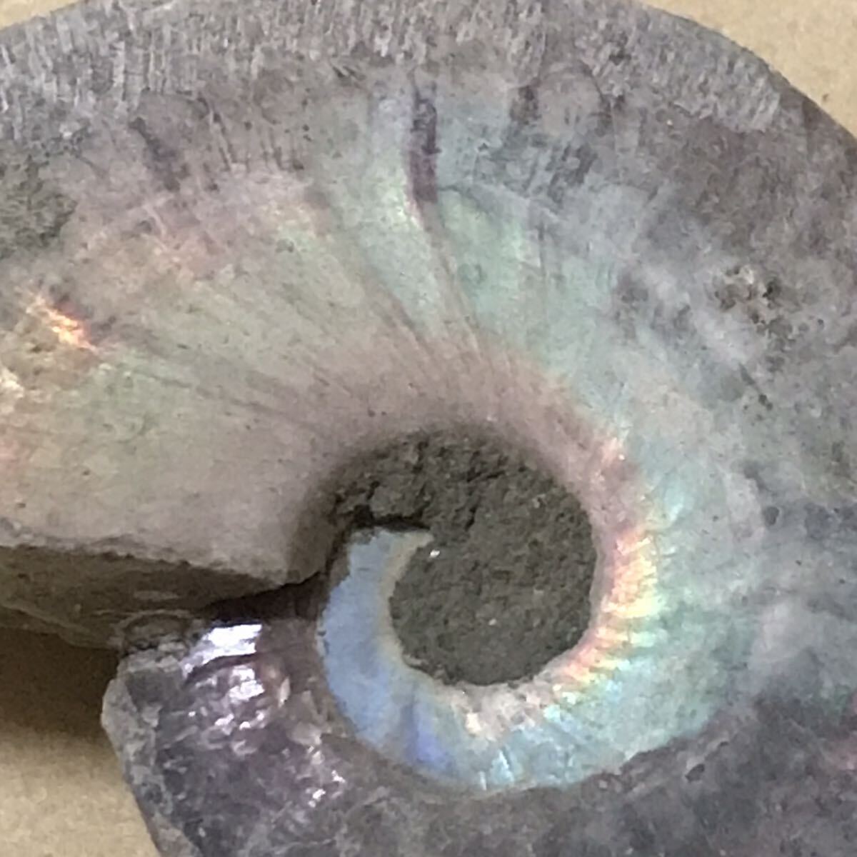 化石 マダガスカル産 アンモナイト 天然石 クリオニセラス 虹色の発色 標本 _画像3