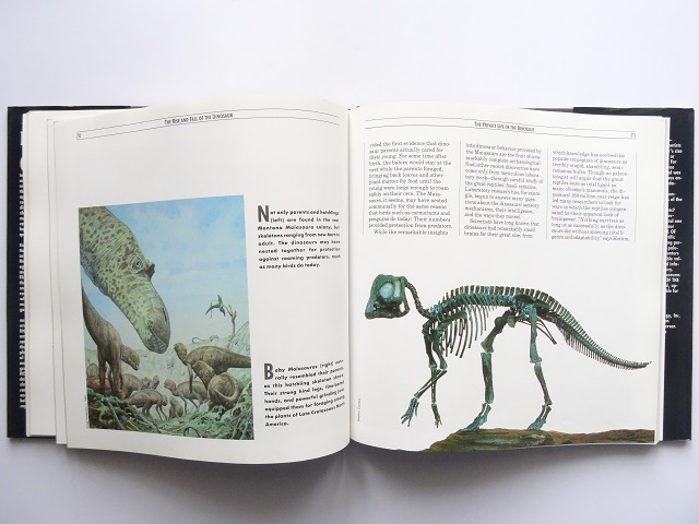 洋書◆恐竜の繁栄と絶滅資料集 本_画像6