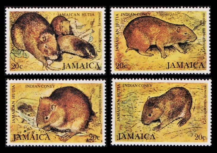 Dα73ｙ2-1j　ジャマイカ1981年　インディアンコニー・動物・4枚完　MNH/A_画像1