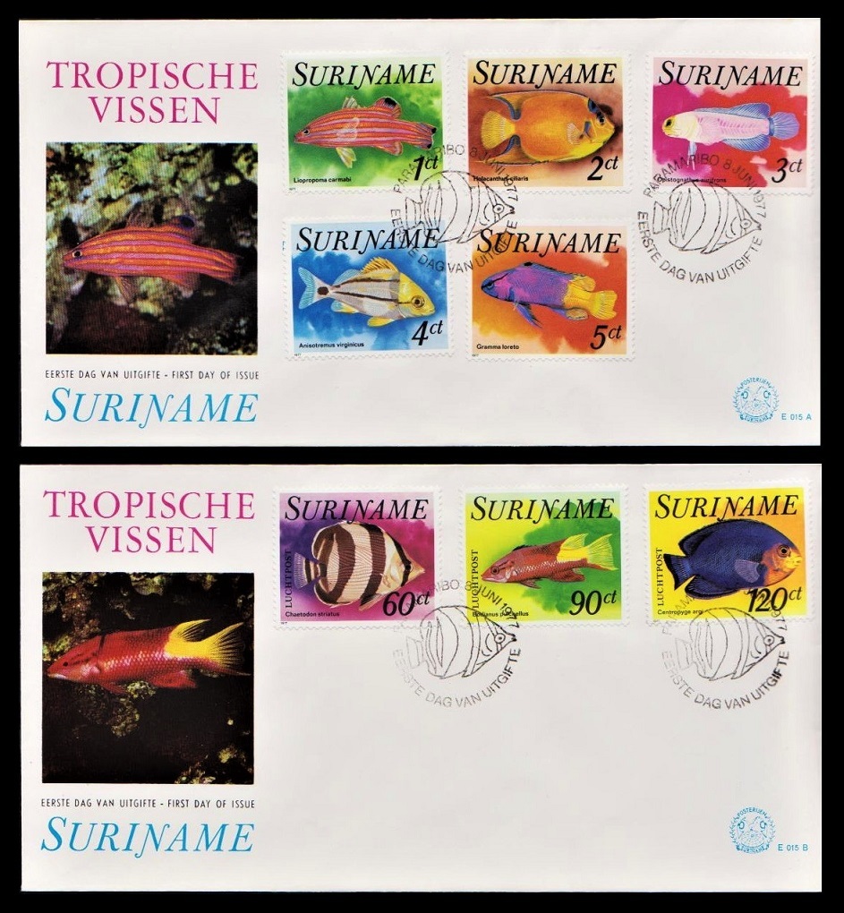 zα325y2-7S スリナム1976-81年 魚シリーズ・10FDC 19×10㎝の画像3