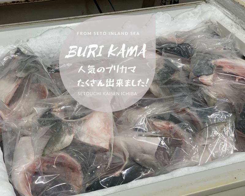 * this month. bargain sale goods!! large yellowtail kama5 piece entering freshness excellent! CAS.. goods 