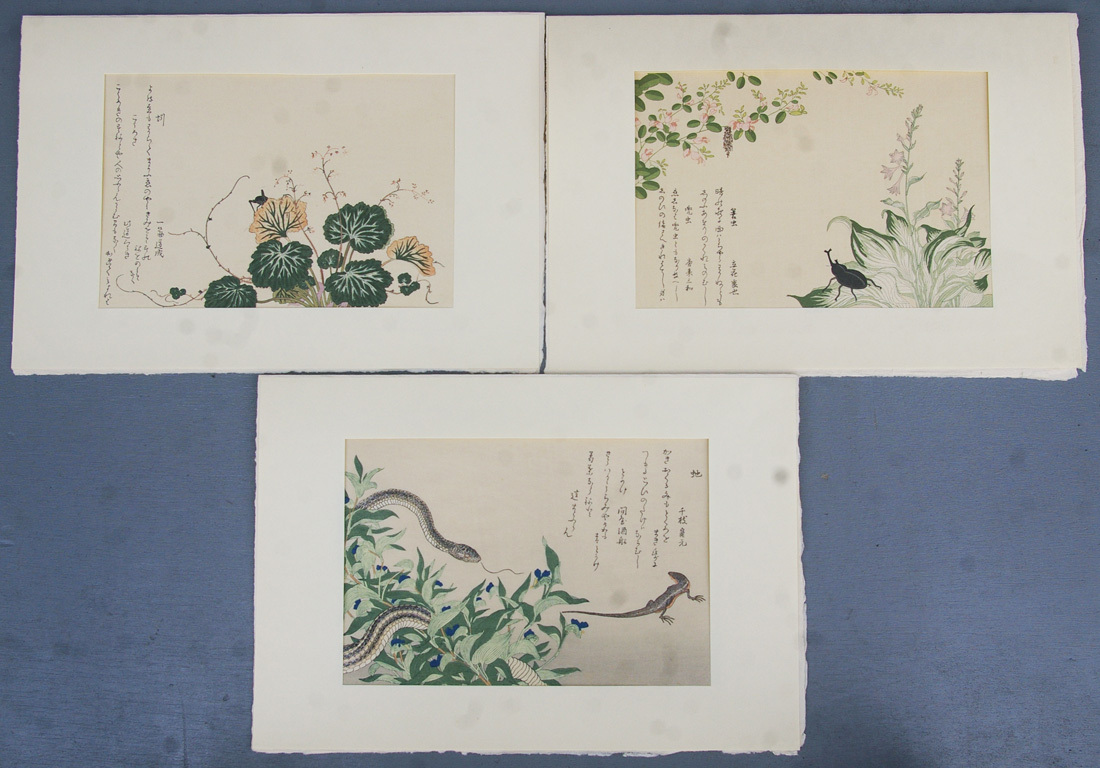 喜多川歌麿筆 逸品 虫えらみ 全15図 古法純手摺木版画 Yahoo!オークション - 喜多川歌麿筆 虫えらみ 全15図揃 古法純