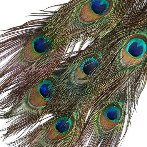 【ノーブランド品】羽根 目玉羽 装飾用の羽根 孔雀の羽 23-33cm 10本の画像3
