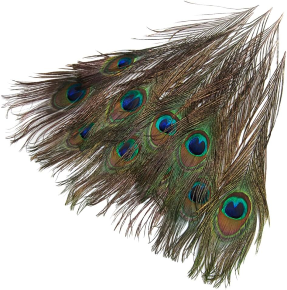 【ノーブランド品】羽根 目玉羽 装飾用の羽根 孔雀の羽 23-33cm 10本の画像9