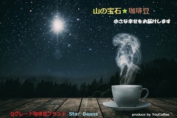 Qグレードコーヒー豆 200g エルサルバドルSHGジュリア Star Beans YouCoffeeの画像7