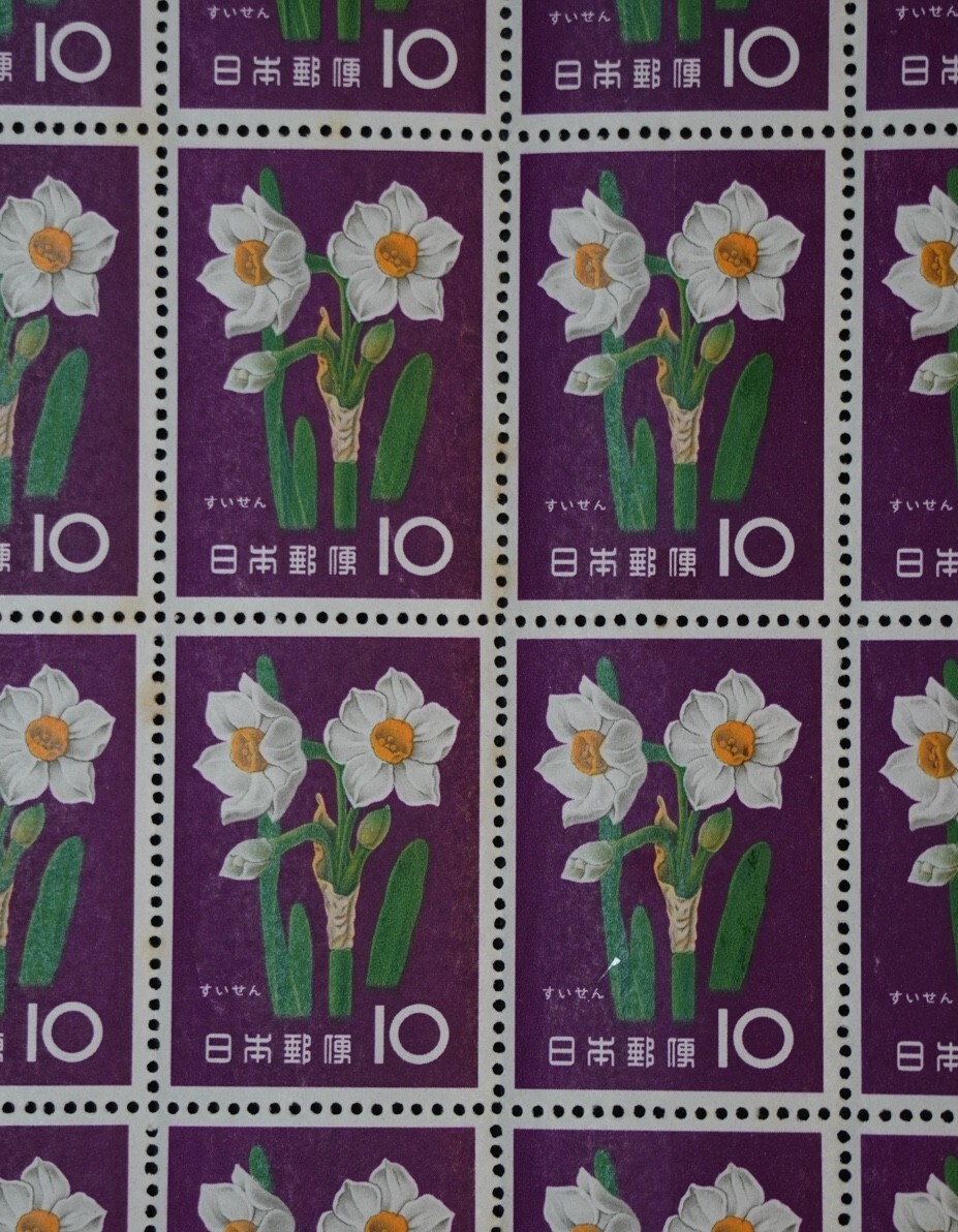 【シ6】花シリーズ すいせん10円 20面シート 1961年 NH 【型価1.2万】の画像6