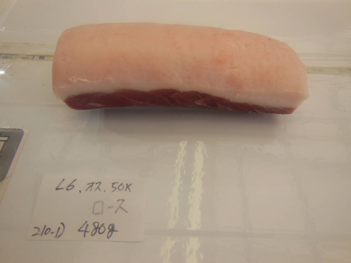 福岡県産天然猪肉　令和６年2月　50kg　オス（２１０－１）　ロース　４８０ｇ_画像1