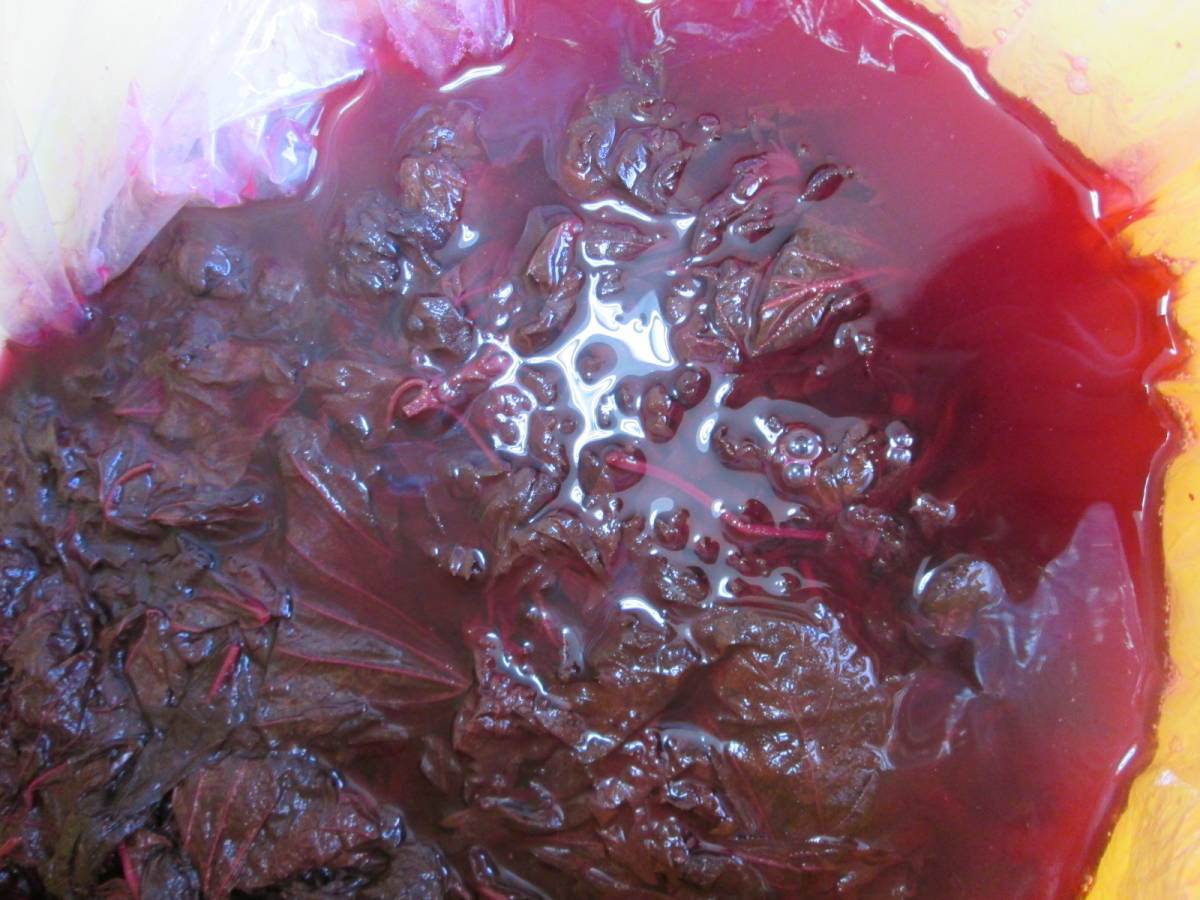 完熟しそ梅干し中サイズ 800g 天然塩と無農薬紫蘇で漬けた昔ながらの梅干し 柔らかい梅干しの画像8