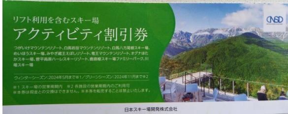 最新 日本駐車場開発 株主優待 券 アクティビティ割引券 1枚 5名迄利用可 2024.11月迄 複数枚対応 クーポン券 割引券 日本スキー場開発の画像1